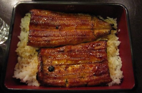 Unagi