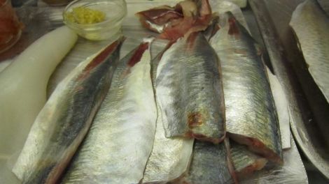 Les poissons de la Méditerranée