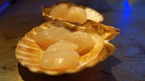 Coquille Saint Jacques