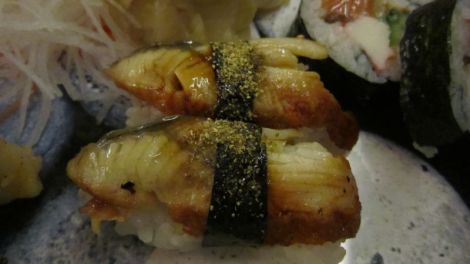 Anguille électrique