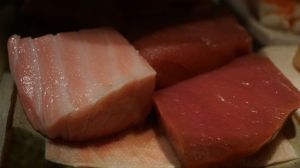 Les différents thons rouges