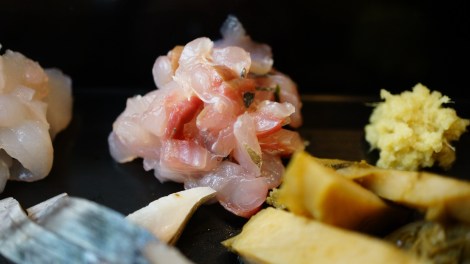 Sashimi