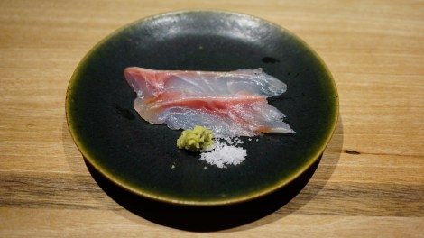 Sahimi de daurade royale