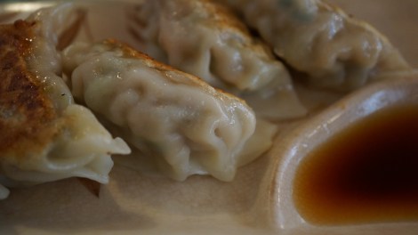 Gyoza